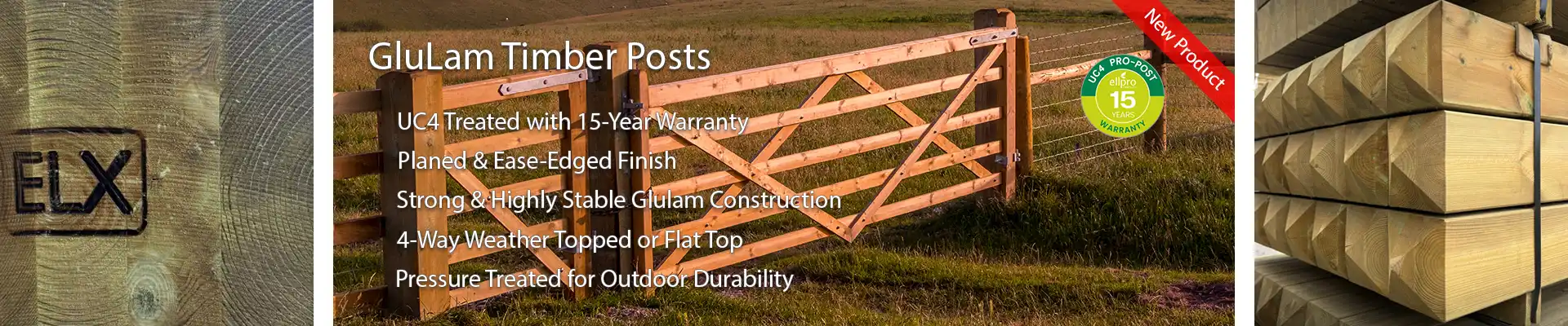 GluLam Timber Posts
