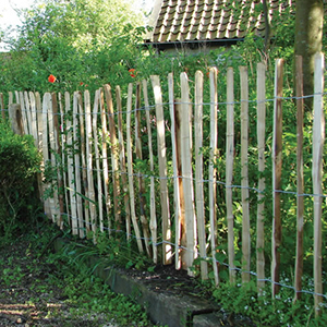 Chestnut Fencing