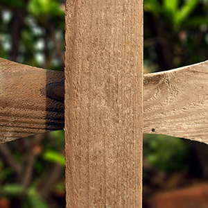 Timber Fence Posts