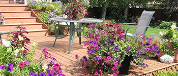 Decking in Bloom