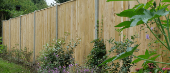 Featheredge Fencing With Top Rail