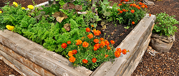 Garden Sleepers Beds Blooming