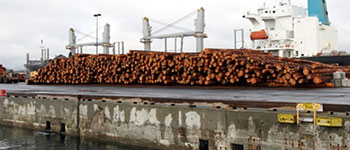 The Price of Timber These Days