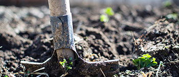 Shovel digging up mud