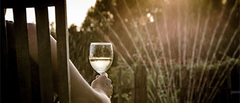 garden, man, wine, relax, bank holiday, easter bank holiday, easter, chocolate