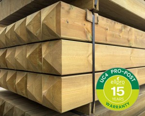 140mm x 140mm GluLam Post Green with 4 Way Weather Top