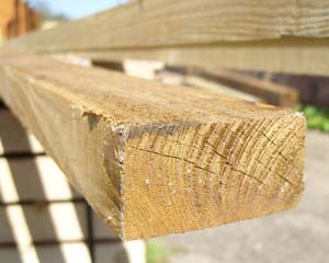 38mm x 75mm 3.6m Timber Rail Pressure Treated Green