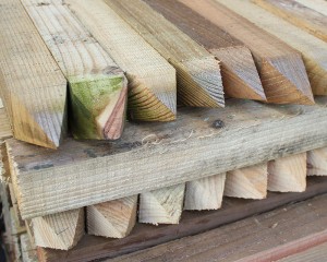 50mm x 50mm Timber Peg Pressure Treated Green