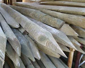 Peeled Stake 75-100mm