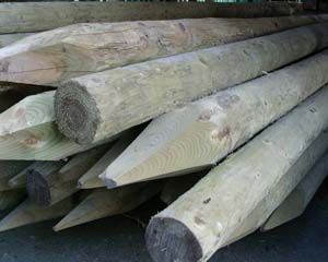 Peeled Stake 100-125mm