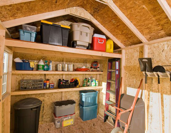 Organised Shed Shelving