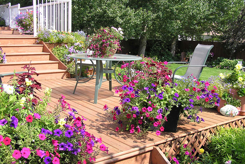 Decking area with lots of flowers