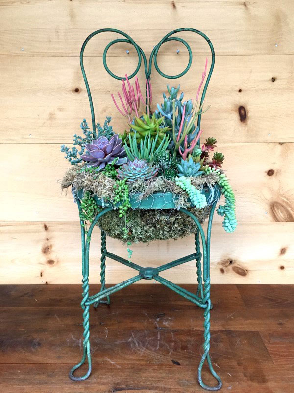 Old chair recycled to be a planter