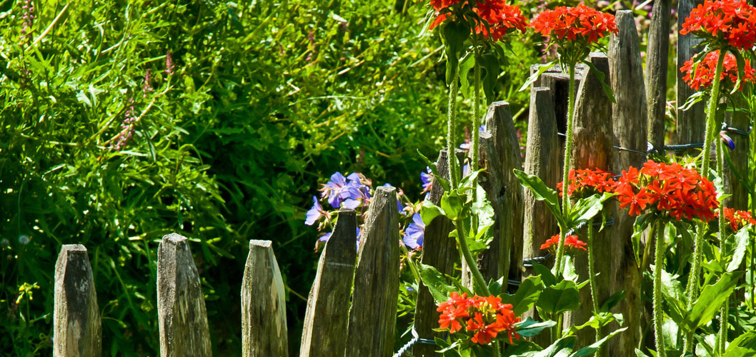 Spring Fencing