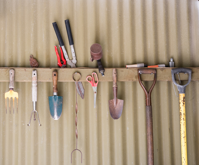Old and rusty tools on rack in rustic tool shed wall. Space maximise