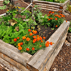 Raised Sleeper Flower Bed