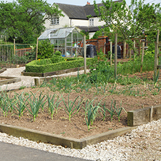 railway sleeper vegetable garden