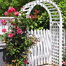 Painted Palisade Gate and Archway