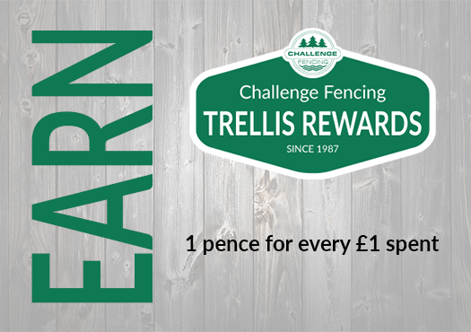 Trellis Rewards Earn