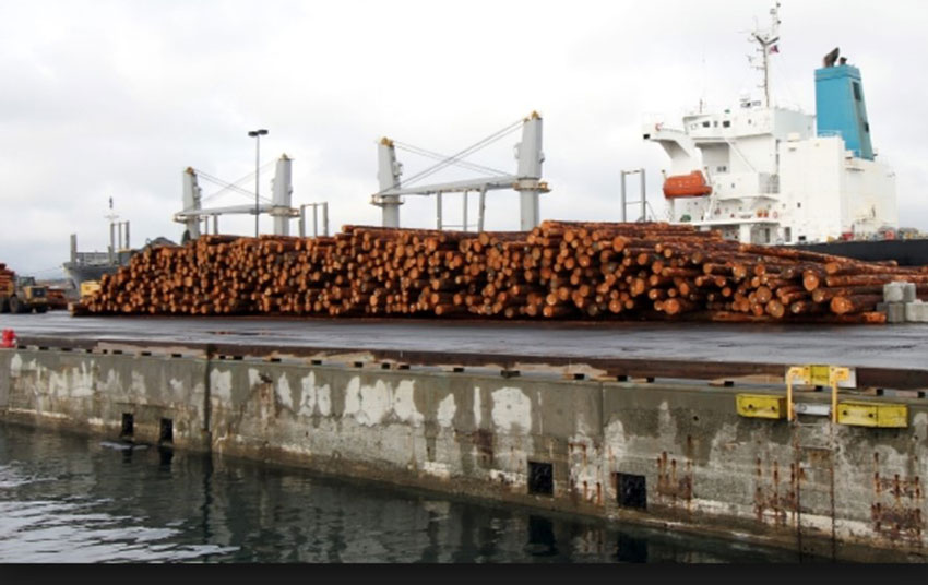 UK Timber Prices
