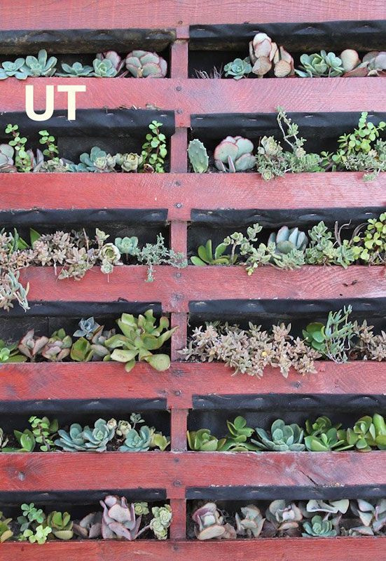 Planters made from anything