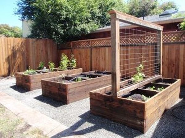 Vegetable Beds made from railway sleepers