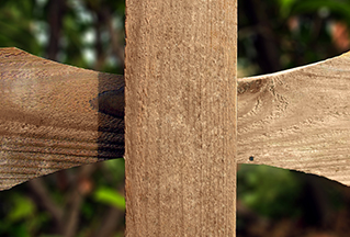 Fence and Posts