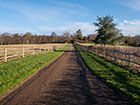 A road with Chestnut fencing either side of it