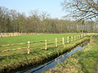 Chestnut Post and Rail separating  field from river