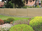 Flat Top ECO PVC fencing along side a large tree