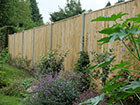 Featheredge Fence Panels