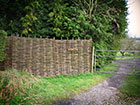 Hazel Hurdle fence panels
