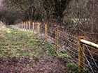Animal wire fencing run alonge a footpath