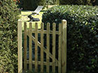 Palisade pedestrian gate, access to garden