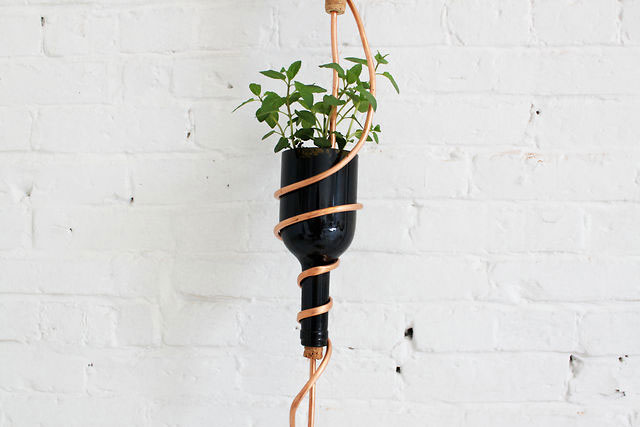 Hanging Vineyard