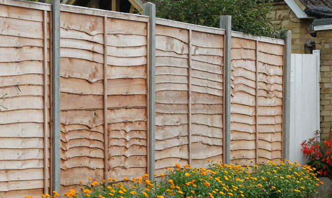 Fence Panels