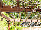 Decrotive lights hanging from a Pergola