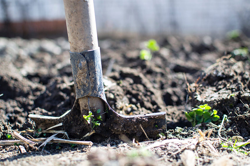 Spade Digging Mud