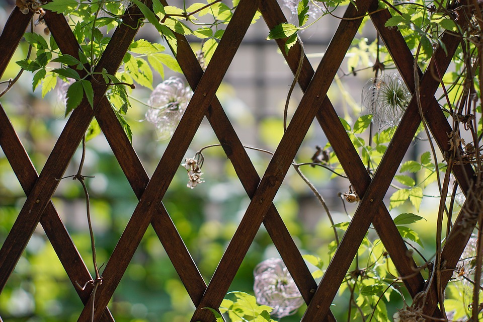 Trellis Panels close up